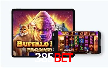 Recursos de Bônus 385bet